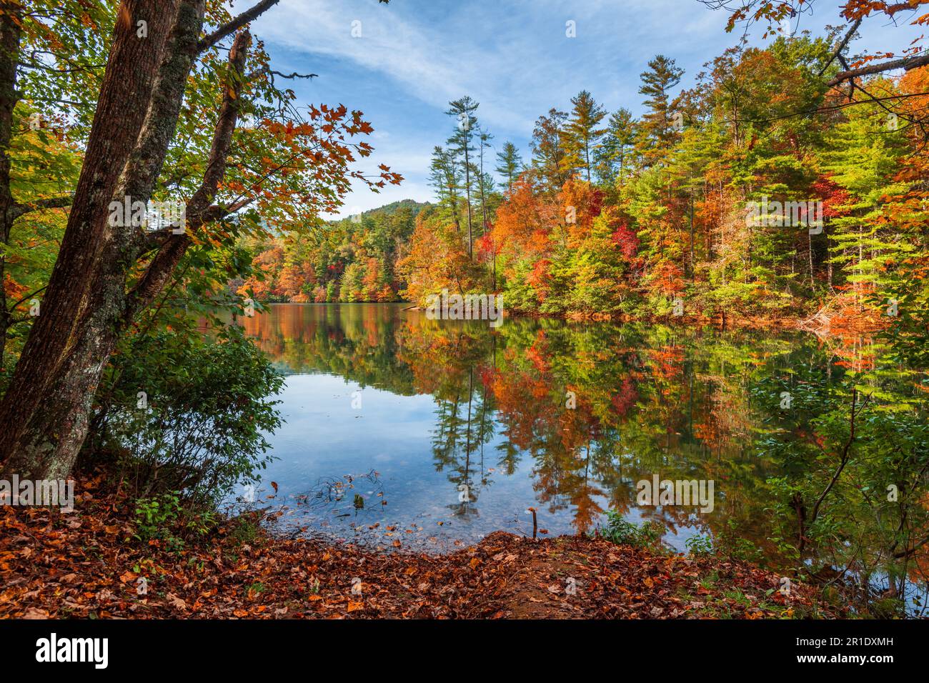 Fogliame autunnale sul lago Santeetlah, North Carolina, USA. Foto Stock