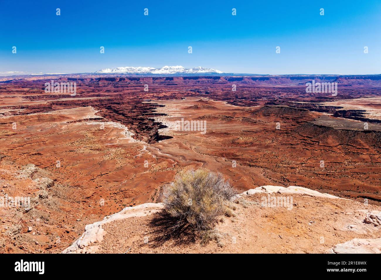 Buck Canyon Overlook; Canyonlands National Park; Utah; USA Foto Stock