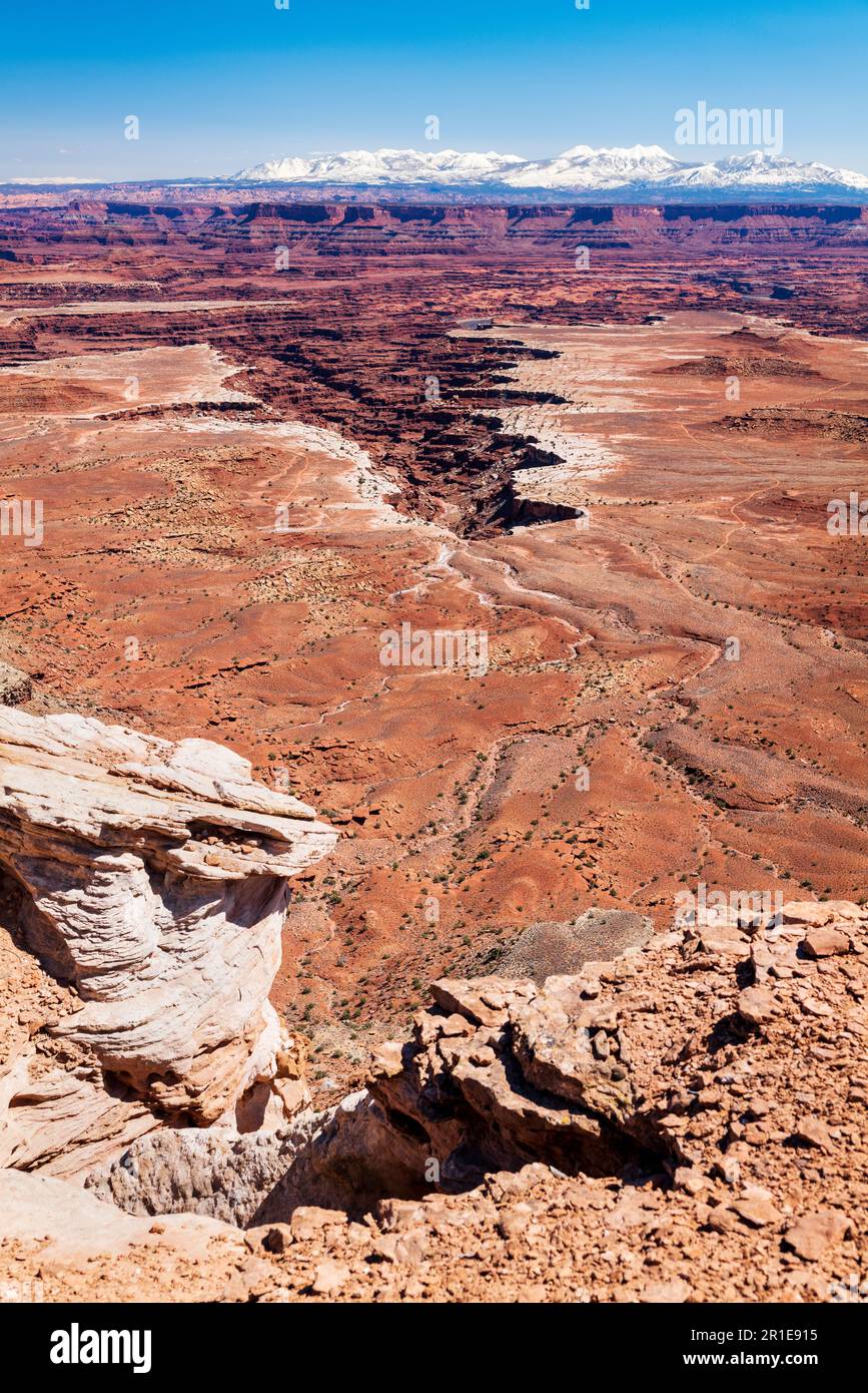 Buck Canyon Overlook; Canyonlands National Park; Utah; USA Foto Stock