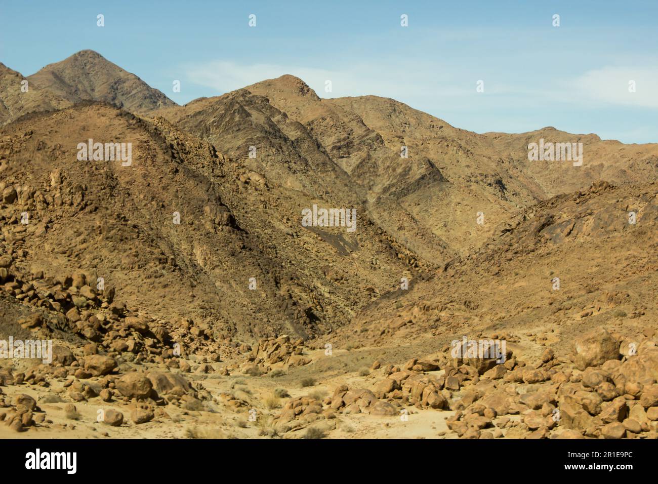 Le montagne apparentemente aride, disseminate di rocce, del complesso Igneous Richtersveld nella Namibia meridionale. Foto Stock