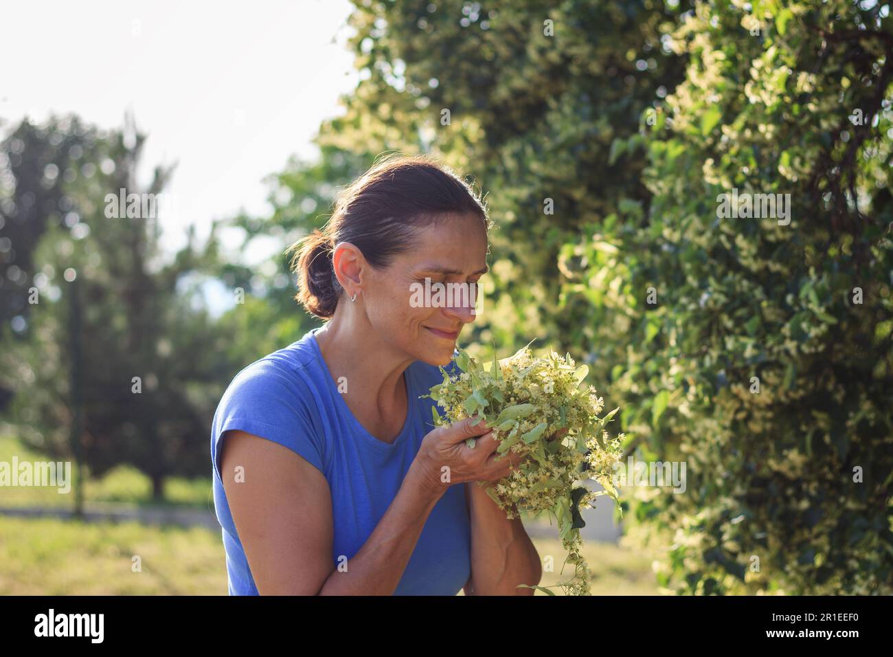 Profumo di fiori di tiglio. La donna odora i fiori raccolti e le foglie del tiglio. Raccolta di erbe stagionali Foto Stock