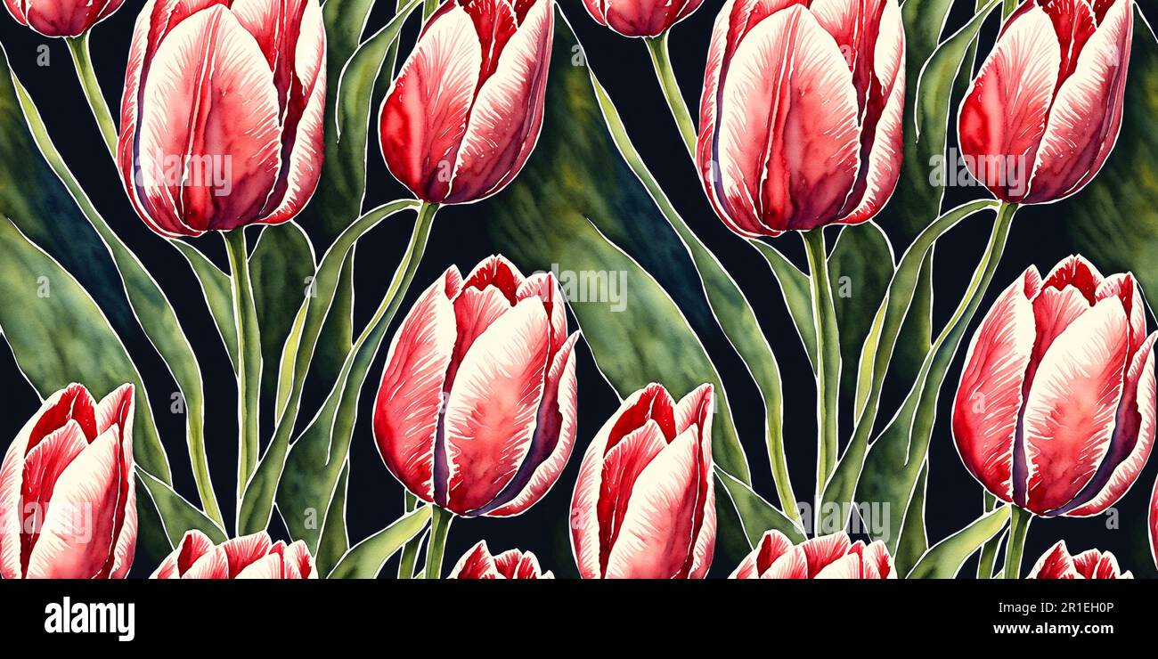Tulipani acquerello illustrazione senza cuciture tulipano fiore motivo Foto Stock