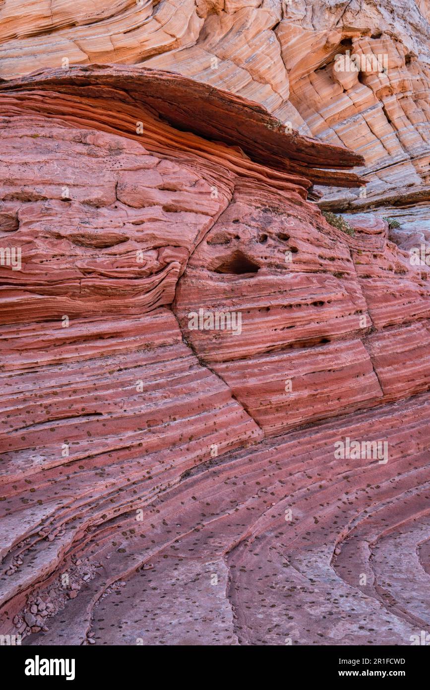White Pocket Rock, Vermillion Cliffs Wilderness, Arizona Foto Stock