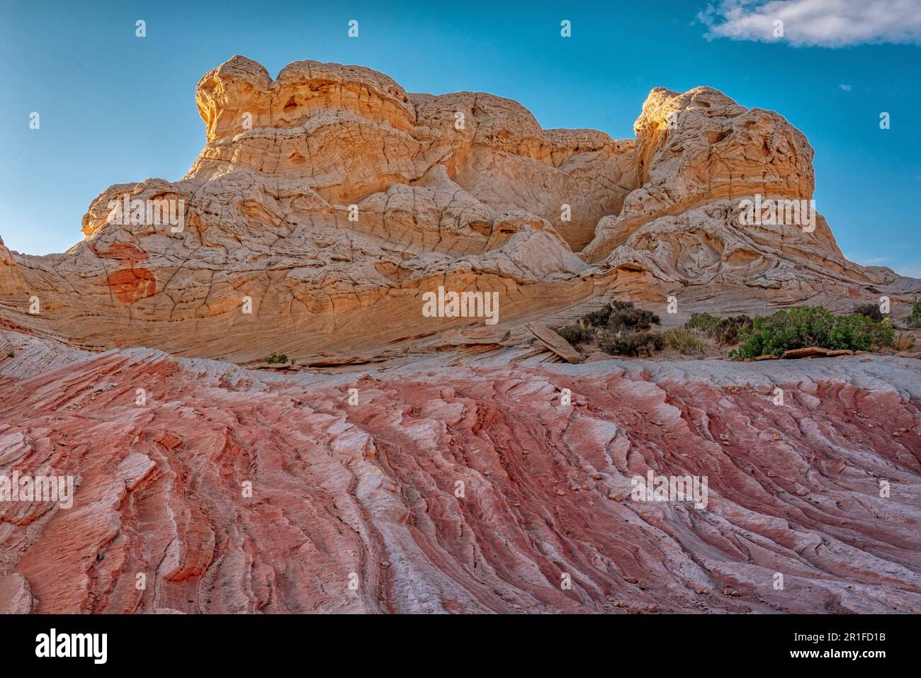 White Pocket Rock, Vermillion Cliffs Wilderness, Arizona Foto Stock