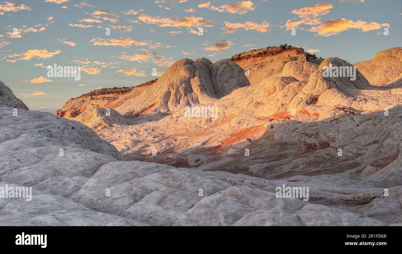 White Pocket Rock, Vermillion Cliffs Wilderness, Arizona Foto Stock