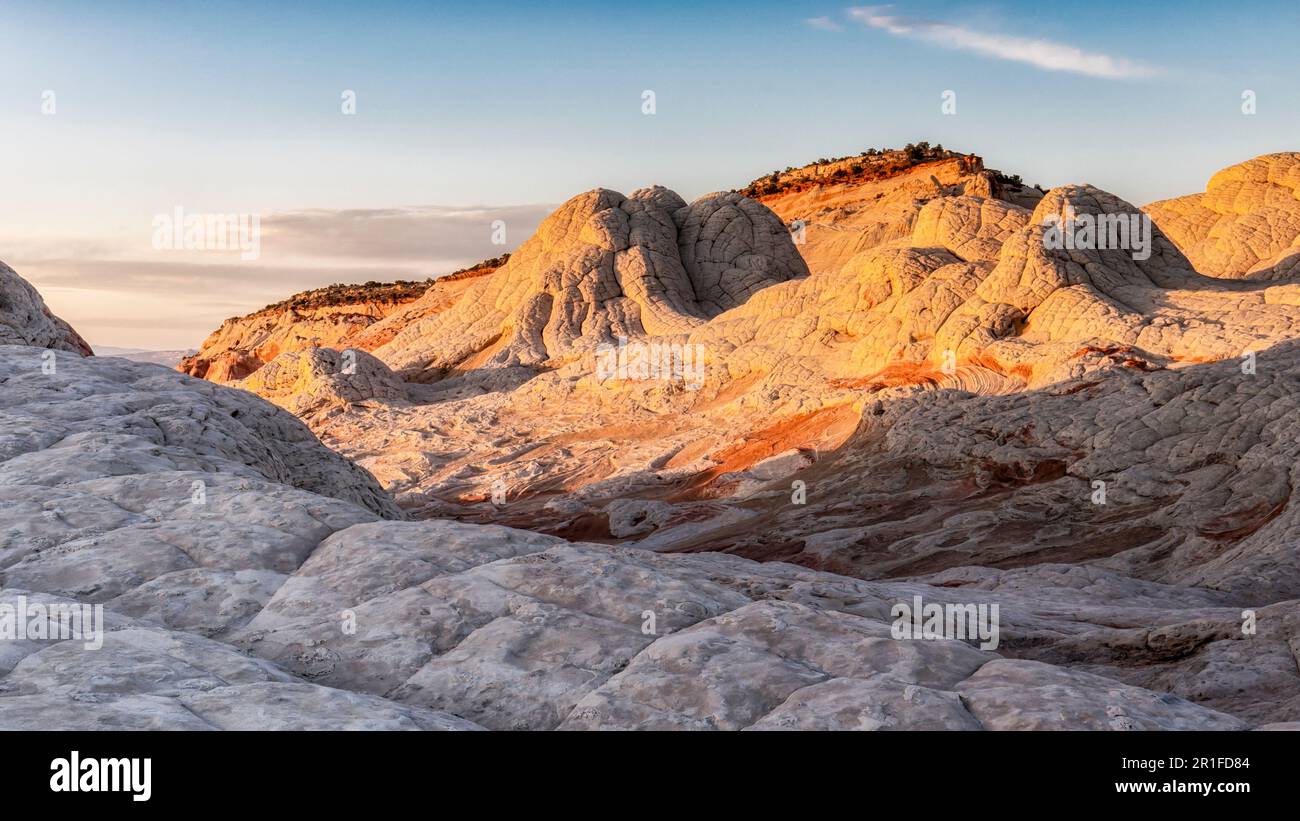 White Pocket Rock, Vermillion Cliffs Wilderness, Arizona Foto Stock