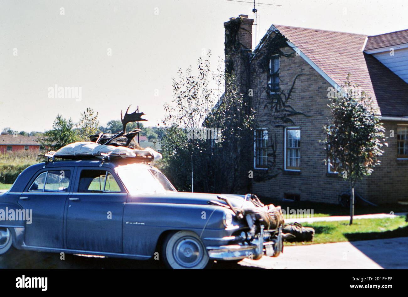 Un cacciatore ha parcheggiato la sua auto davanti a casa dopo aver insaccato due cervi in un viaggio di caccia, cervi legati alla parte superiore e anteriore della sua auto (r) ca. 1950-1955 Foto Stock