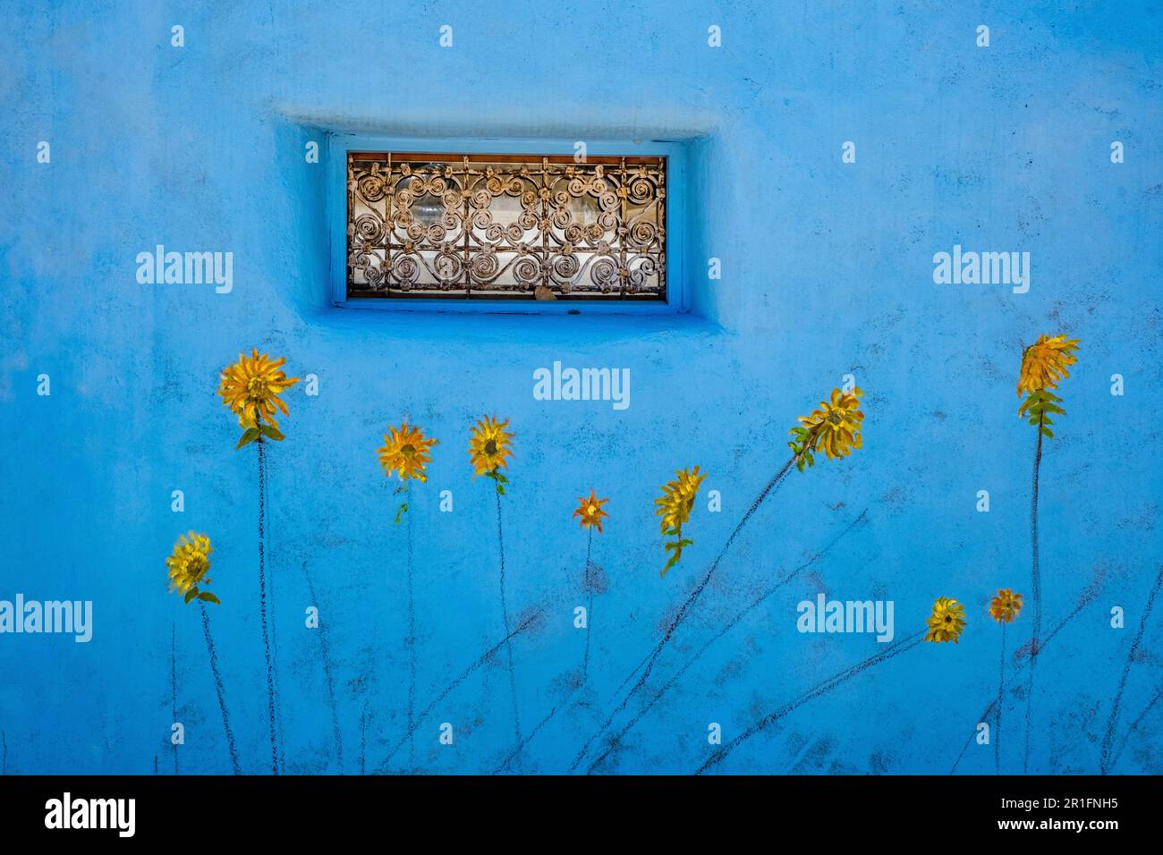 Girasoli gialli abbozzati su una parete blu brillante, Cerrillos, New Mexico, USA Foto Stock