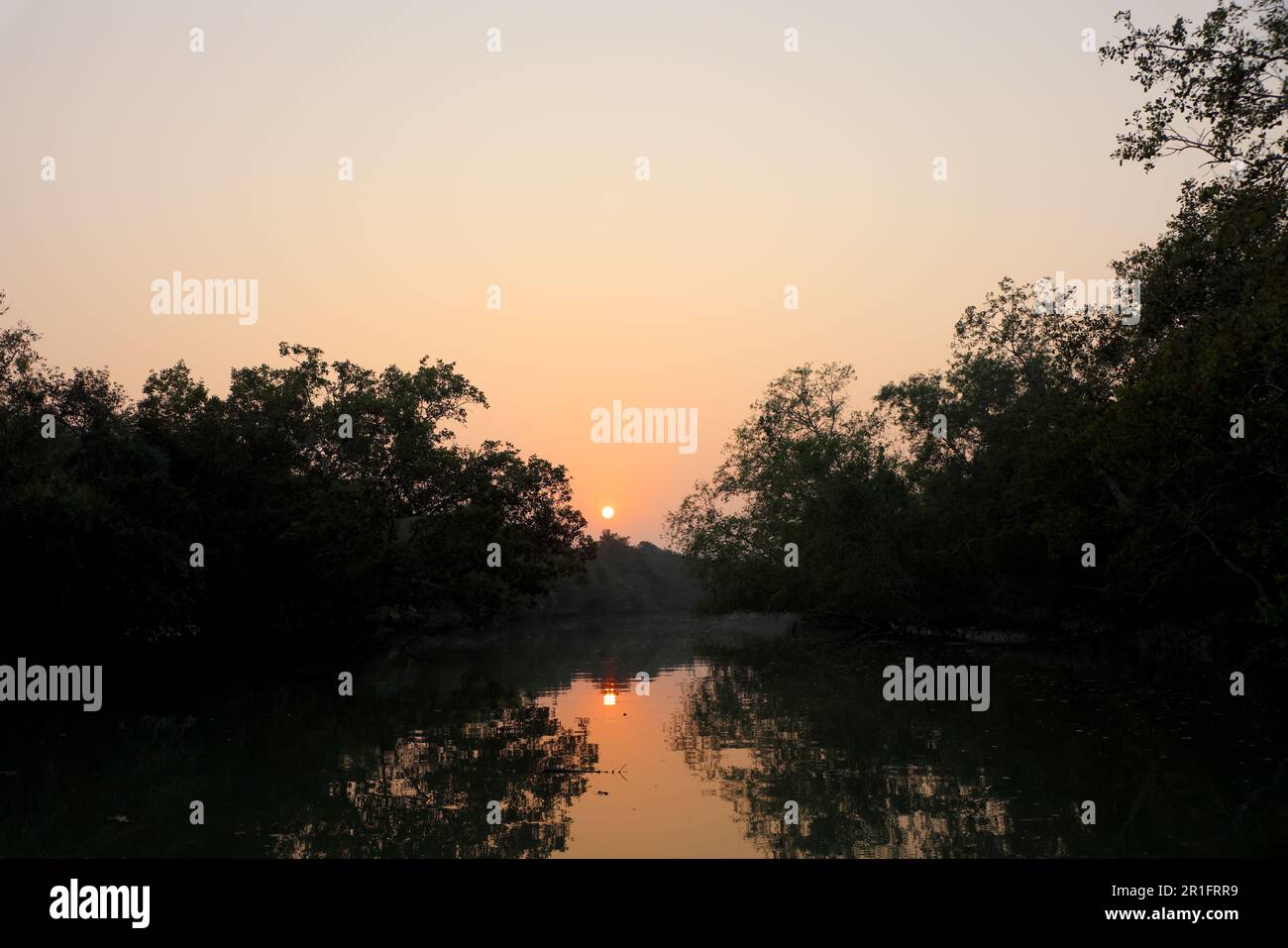 Tramonto a sundarbans. Questa foto è stata scattata dal Parco Nazionale di Sundarbans, Bangladesh. Foto Stock
