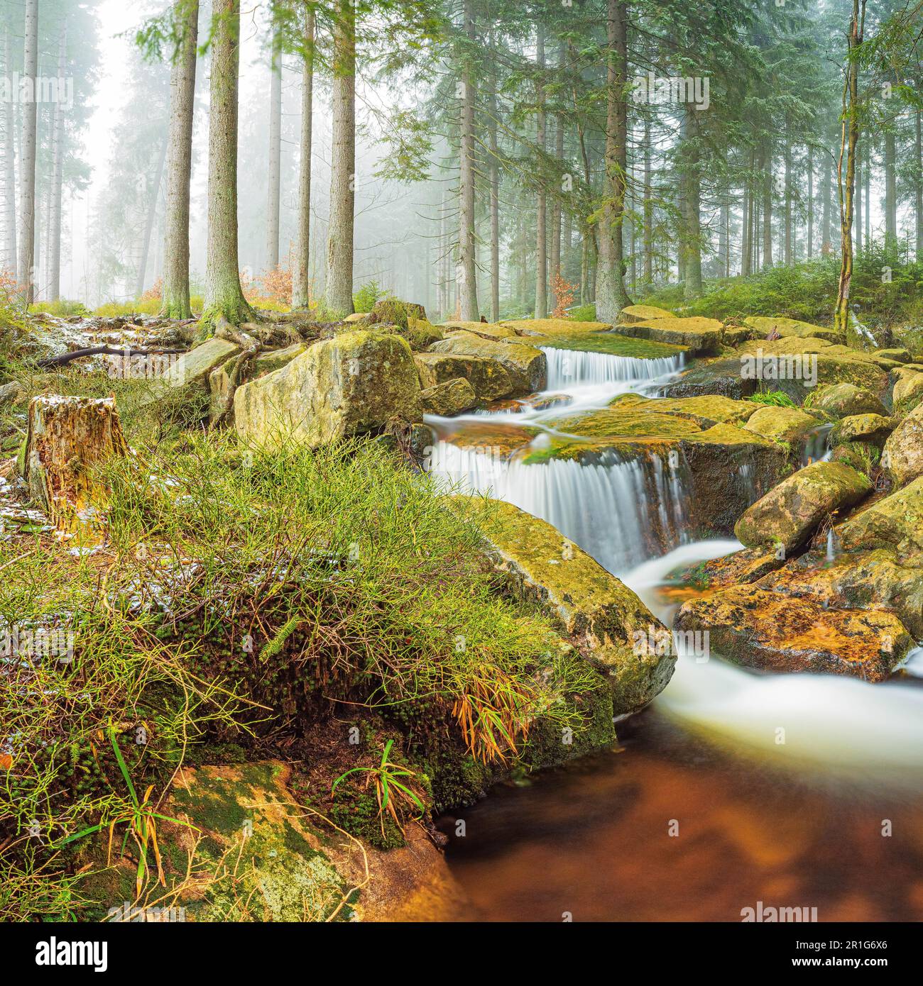 Piccola cascata, Kalte Bode, Harz, bassa Sassonia, Germania Foto Stock
