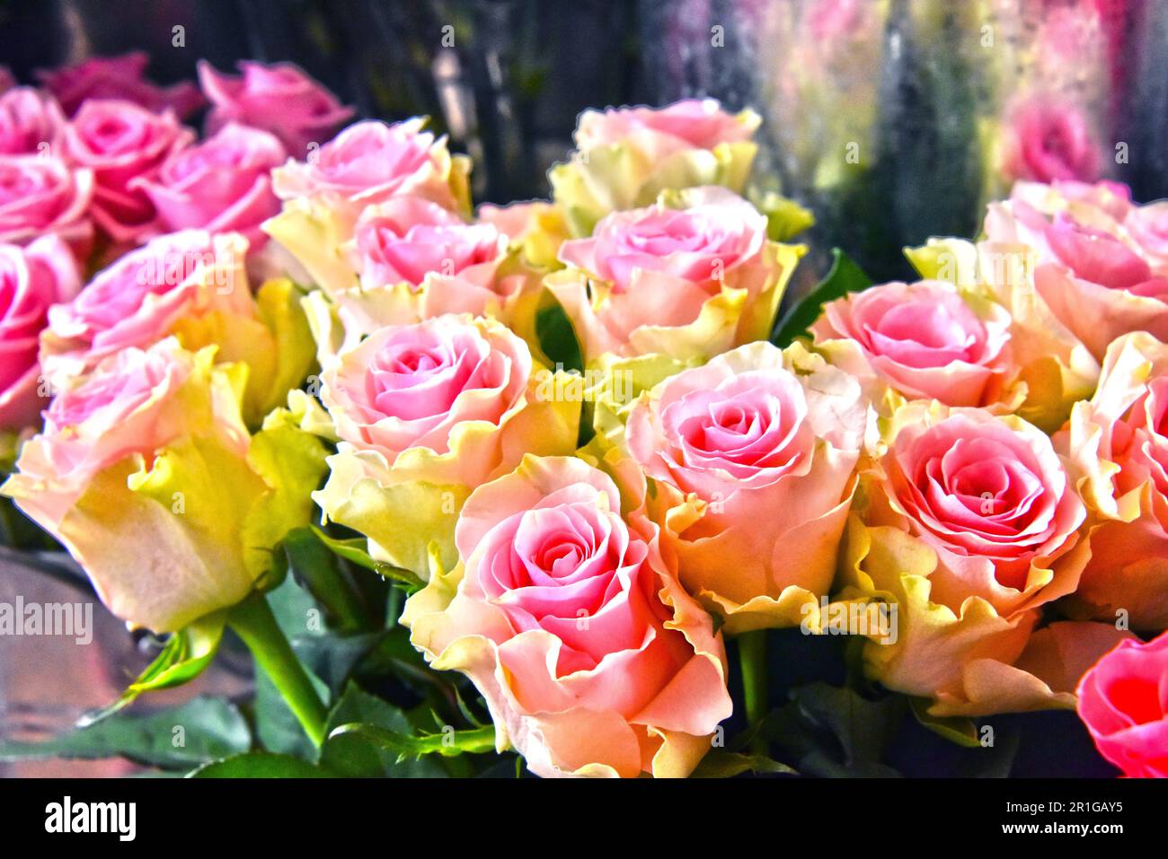 Le Rose in negozio di fiori. Fiori recisi alla bancarella di strada Foto Stock