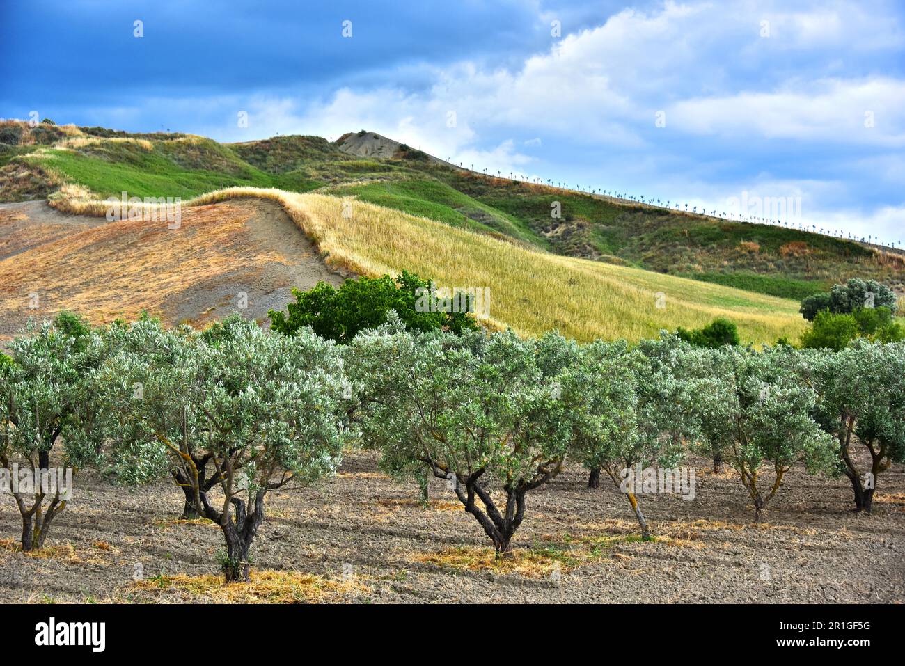 Vista del Paesaggio della Calabria in provincia di Crotone, Italia Foto Stock