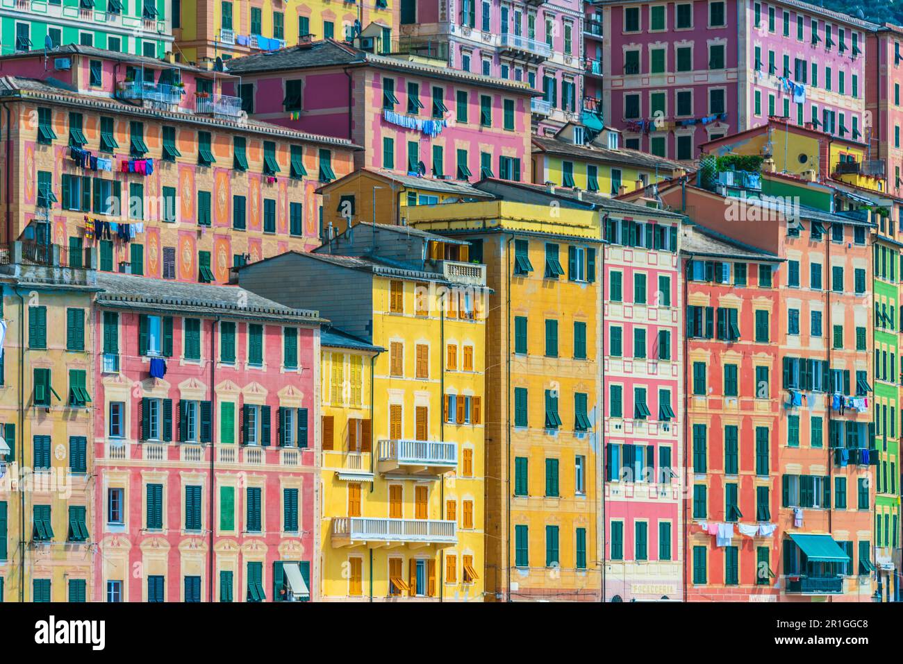 Architettura di Camogli sulla Riviera Italiana nella Città Metropolitana di Genova, liguria, Italy Foto Stock