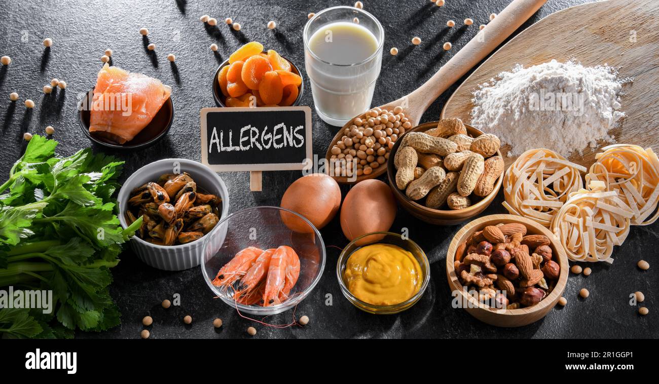 Composizione con allergeni alimentari comuni, compresi uova, latte, soia, noci, pesce, frutti di mare, farina di grano, senape, albicocche secche e sedano Foto Stock