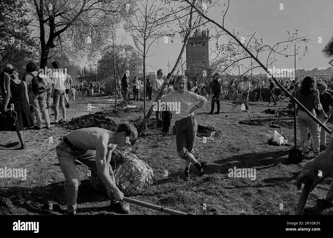 GDR, Berlino, 01.04.1990, i sostenitori del parco che piantano alberi sulla Wall Strip a Falkplatz, più tardi Mauerpark manifestazione ciclabile dal Municipio Rosso t Foto Stock