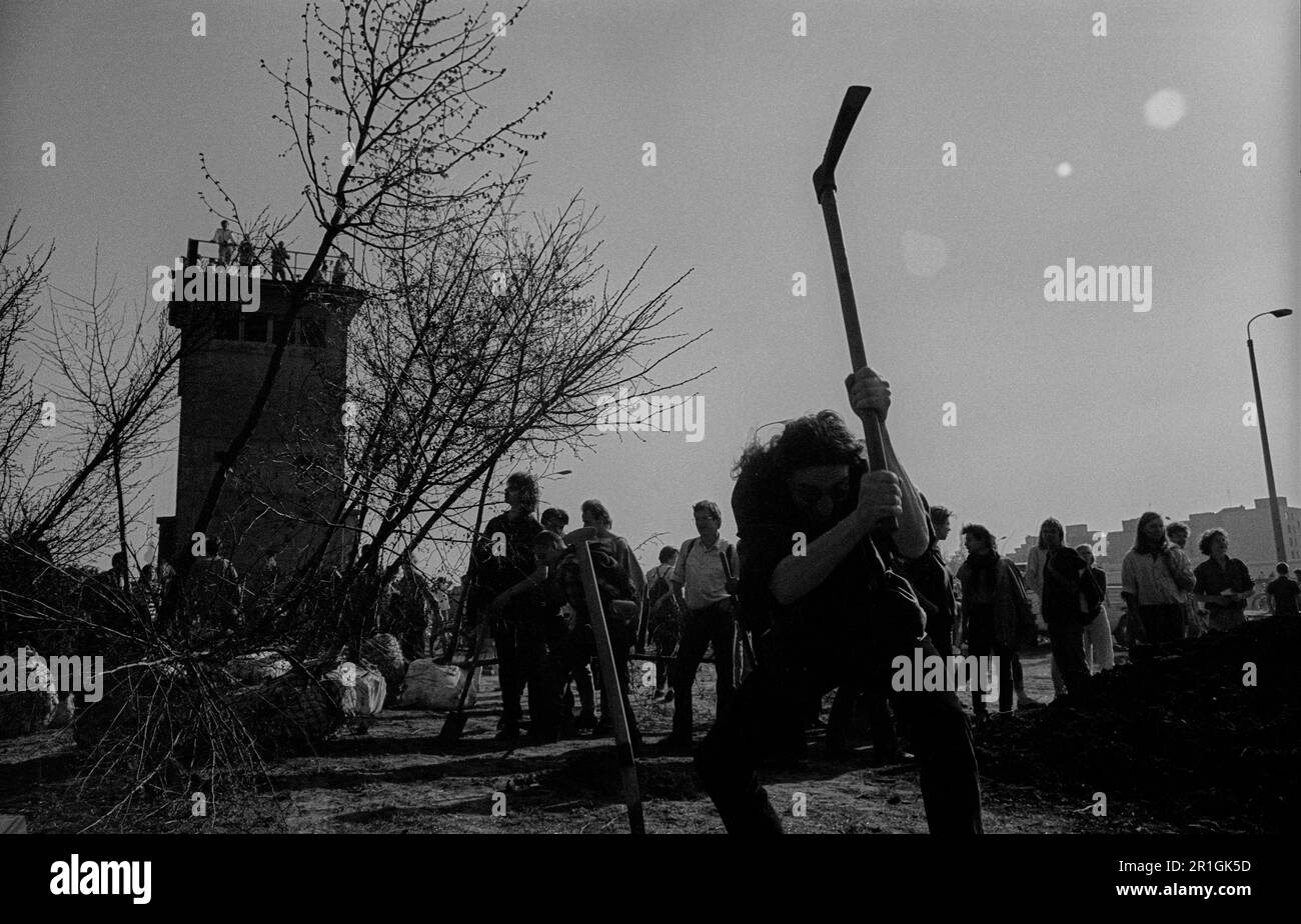 GDR, Berlino, 01.04.1990, i sostenitori del parco che piantano alberi sulla Wall Strip a Falkplatz, in seguito Mauerpark Bicycle dimostrazione dal Municipio Rosso Foto Stock