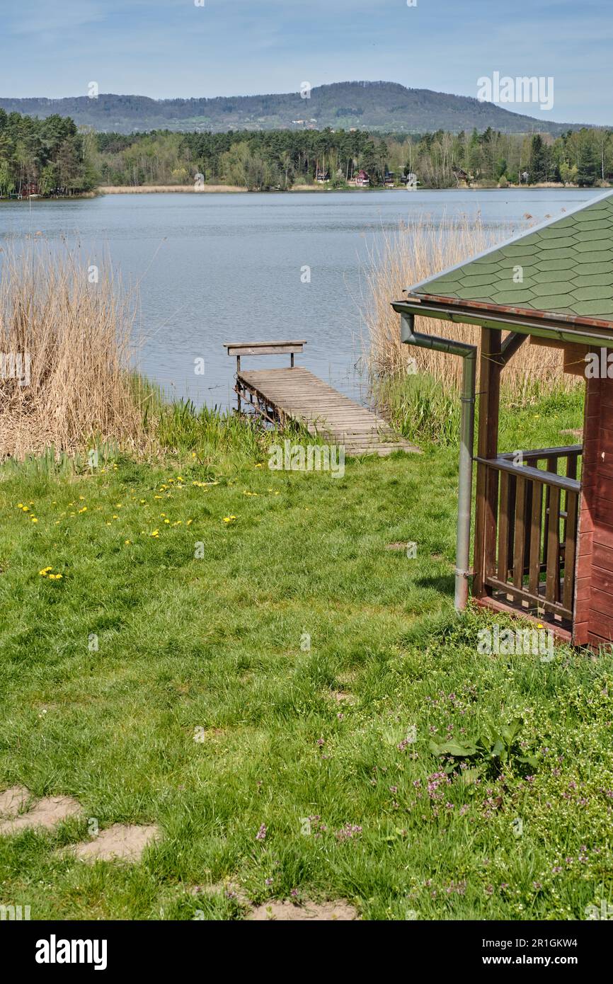 Piccolo cottage in legno sulla riva del lago o stagno con molo in legno. Holany, Repubblica Ceca. Erba verde, foresta, dente di leone e cielo nuvoloso. Foto Stock