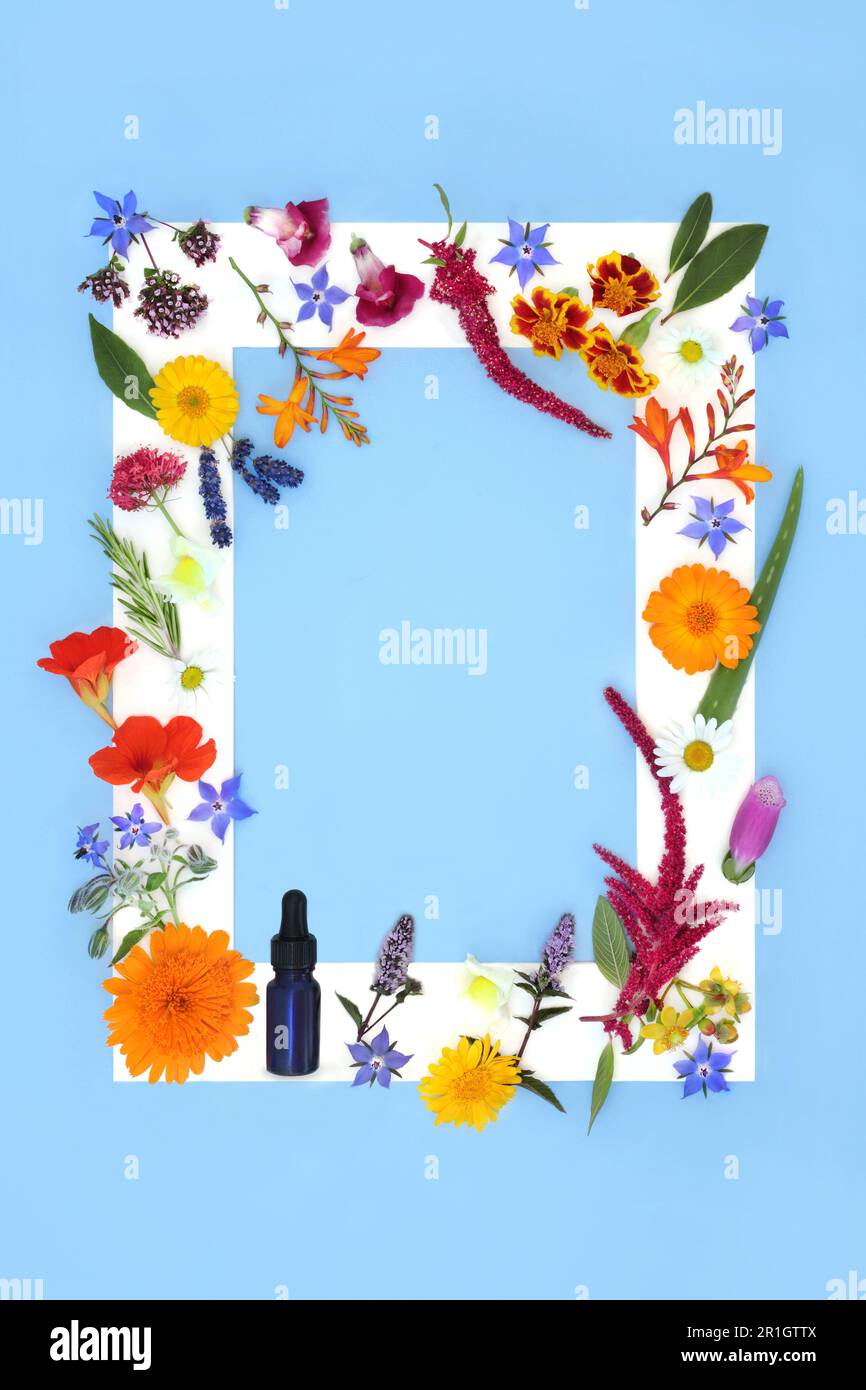 Flora naturale per gli oli essenziali di aromaterapia, rimedio floreale alternativo e curativo medicinale fiori ed erbe con bottiglia di tintura. Foto Stock