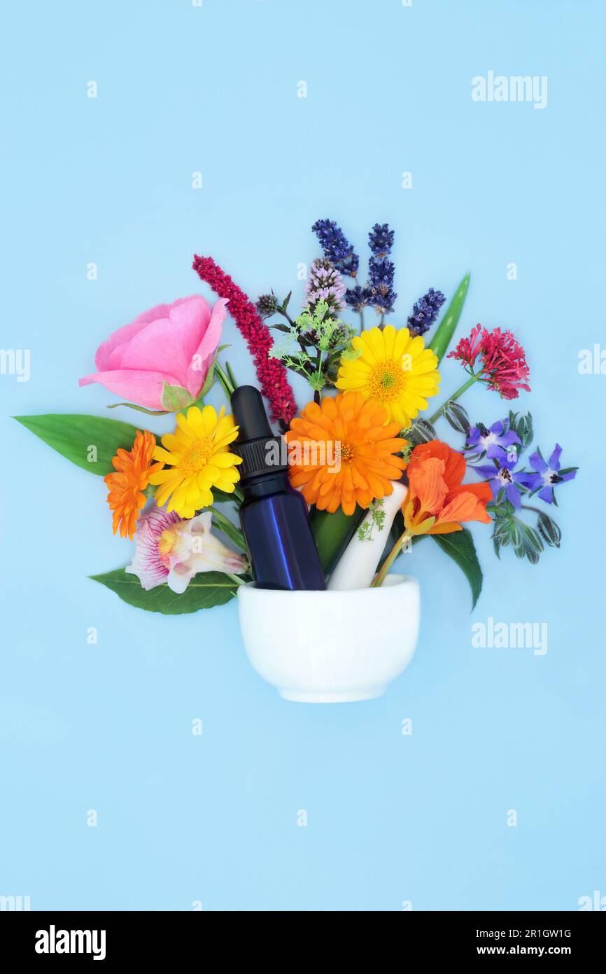 Erbe e fiori con bottiglia di tintura in mortaio. Flora utilizzata nella preparazione di olio essenziale aromatherapy e naturopathic pianta medicina e flusso di erbe Foto Stock
