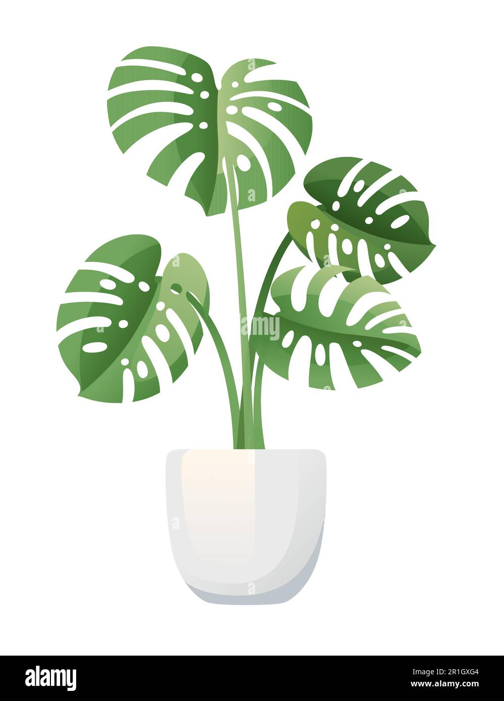 Pianta di Monstera in ceramica bianca pentola vettoriale illustrazione isolata su sfondo bianco Illustrazione Vettoriale