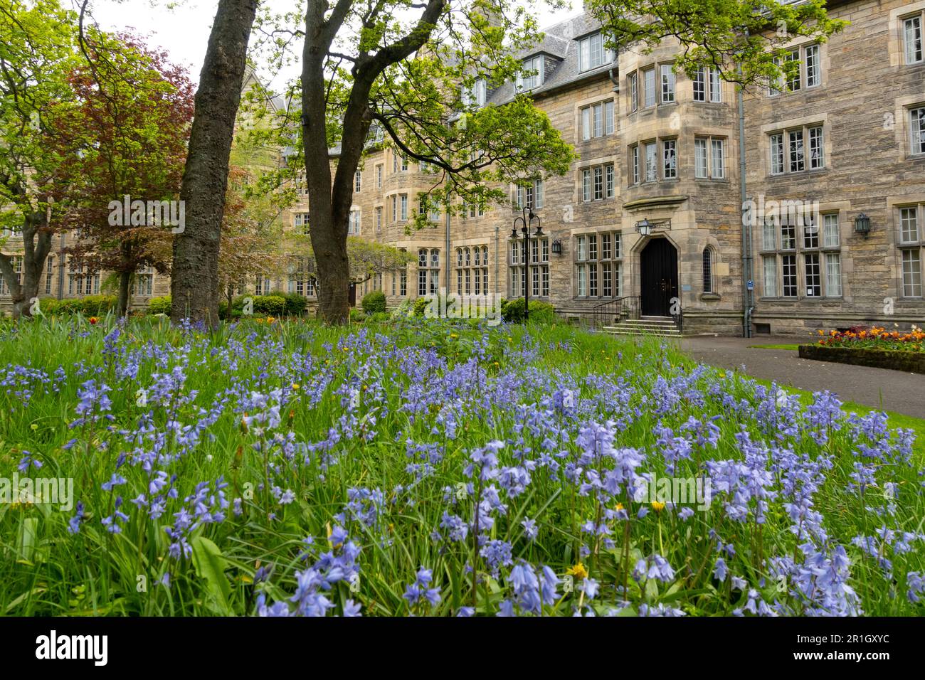 Esterno della St Salvator’s Hall of Residence St Andrews University, St Andrews, Fife, Scozia, Regno Unito Foto Stock