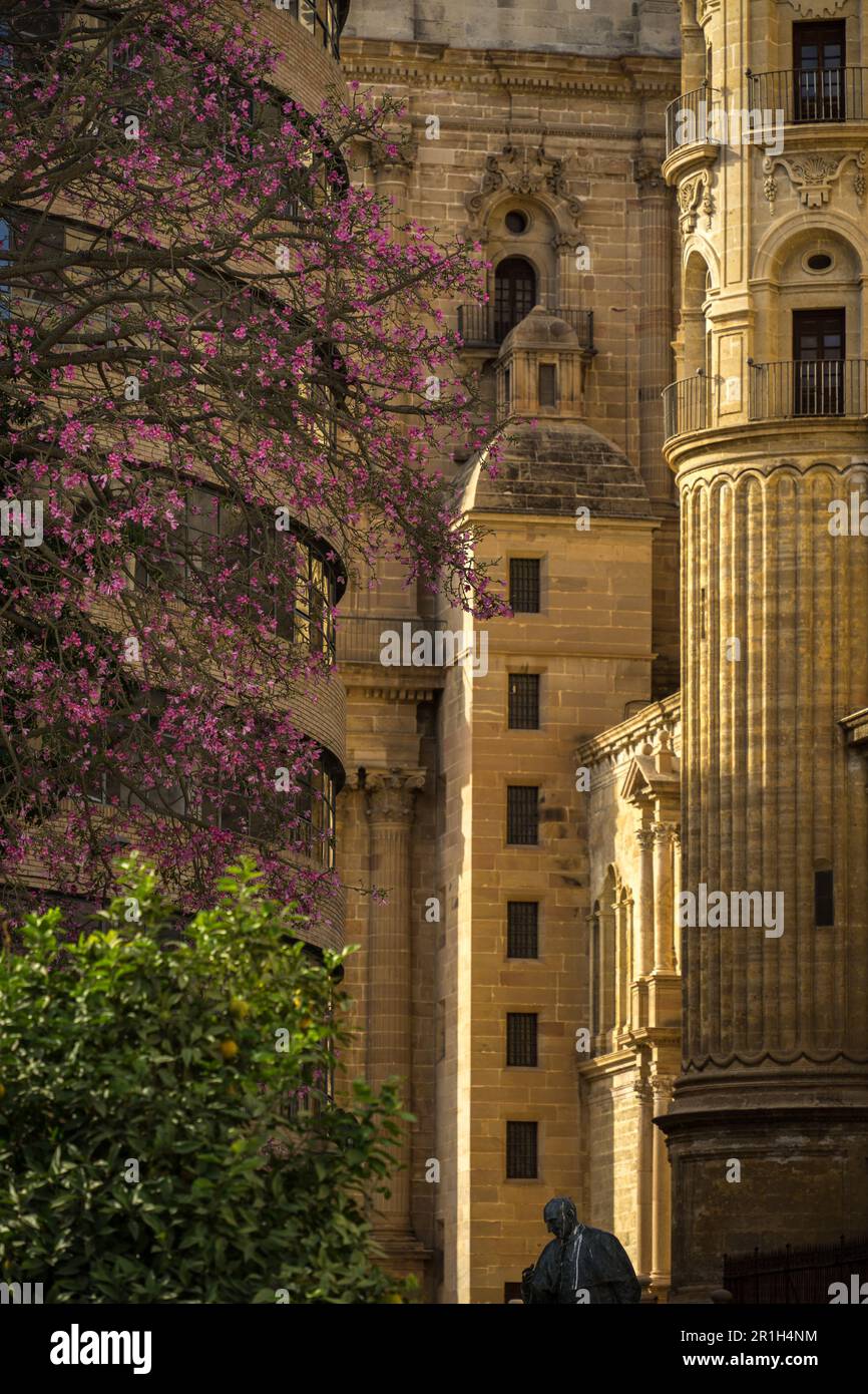 Vista dettagliata della cattedrale di Málaga con alberi colorati in primo piano Foto Stock