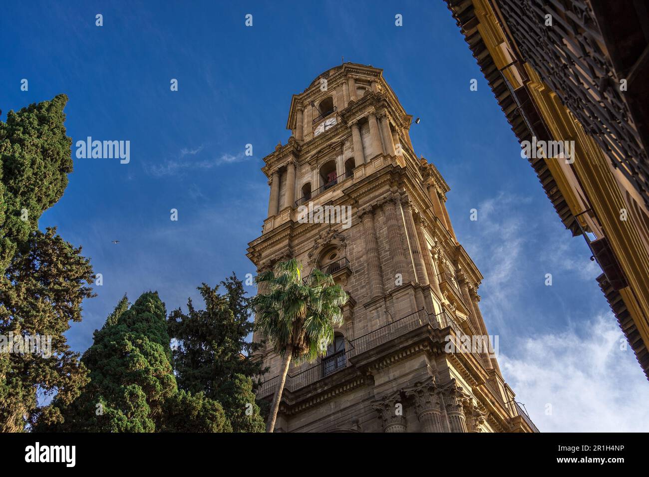 Bellissima cattedrale di Málaga con palme scattate dal basso; carta da parati Málaga Foto Stock