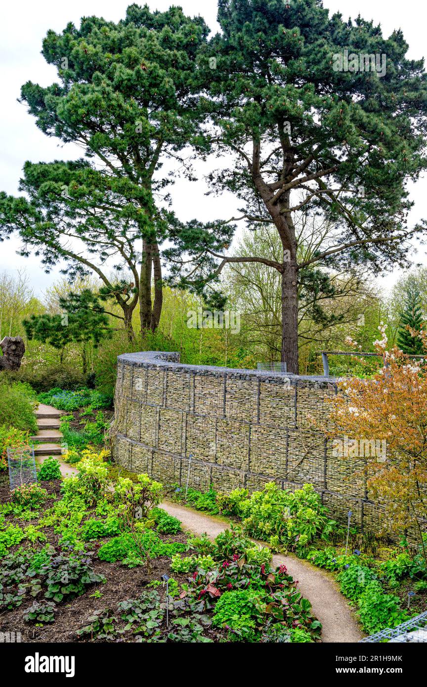 Primavera nel Robinson Garden, con una parete di gabion e il giardino della palude. Foto Stock