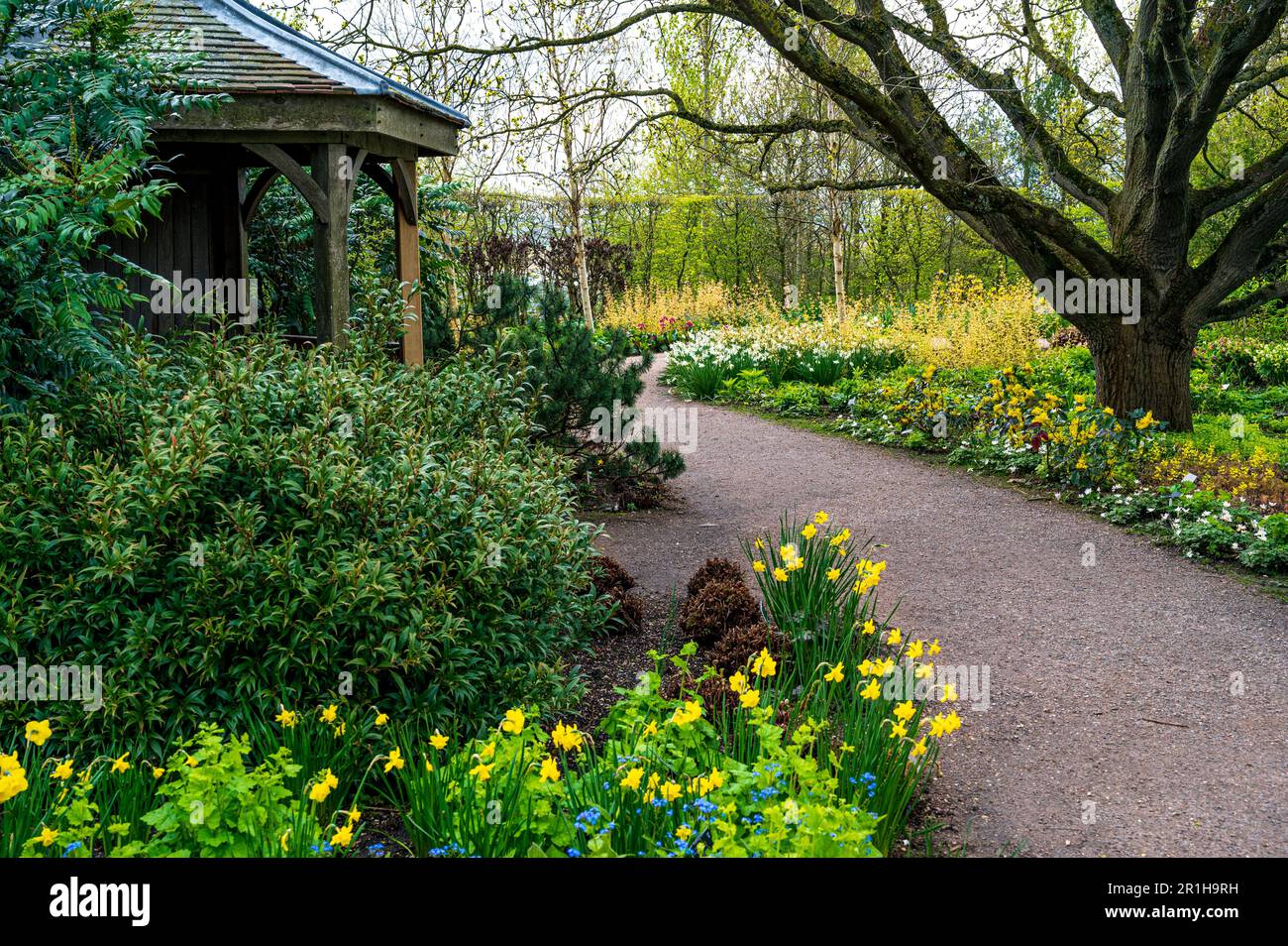 Gazebo con vista sul laghetto inferiore a RHS Hyde Hall. Foto Stock