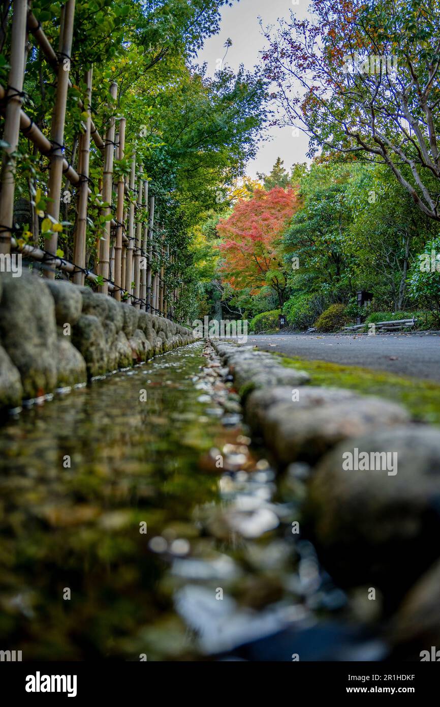 Una verticale di una pozza nel verde Tokugawa Park a Nagoya, Giappone Foto Stock