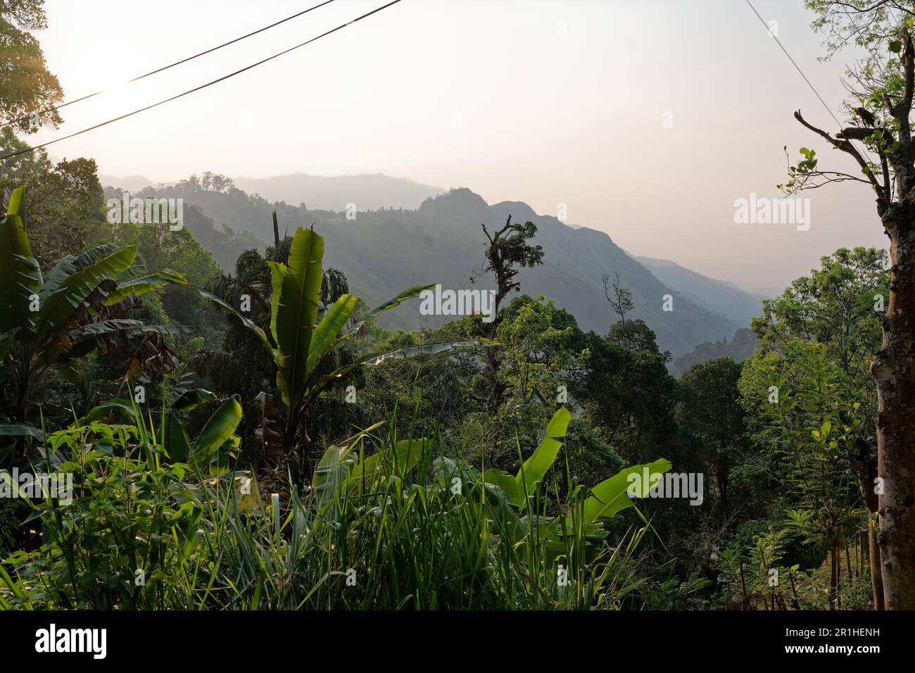 Vista sulle montagne della foresta pluviale dello Sri Lanka al mattino Foto Stock