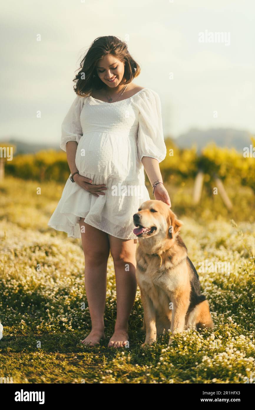 Una donna incinta sorridente in un vestito bianco si trova tra i fiori con il suo compagno di Golden Retriever adulto al suo fianco Foto Stock
