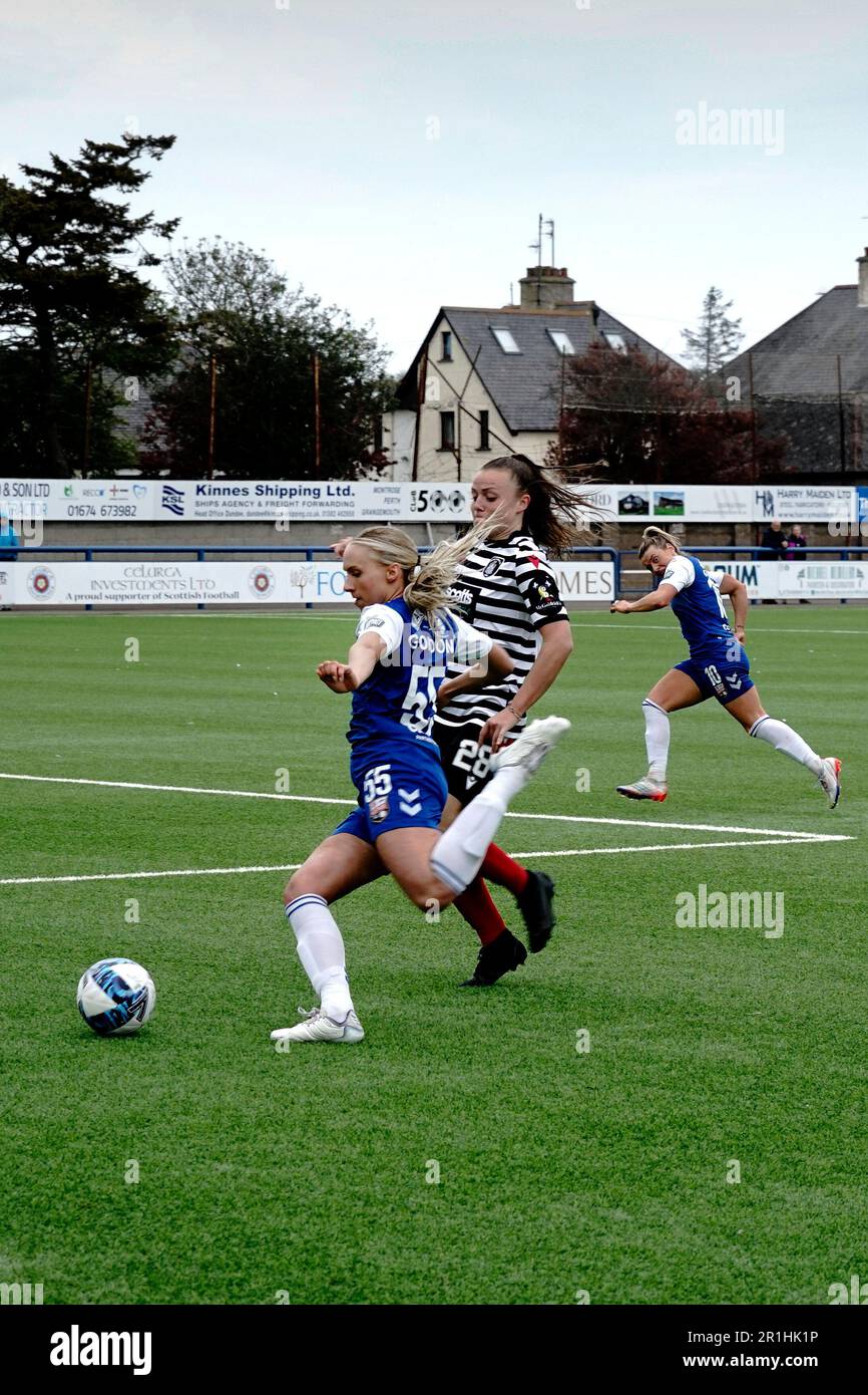 Montrose F.C. Donne campioni 22/23 Foto Stock Montrose F.C. Donne campioni 22/23 Foto Stock