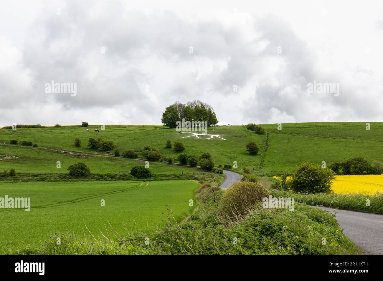 Hackpen Hill gesso bianco cavallo punto di riferimento vicino Broad Hinton, Wiltshire, Inghilterra, Regno Unito Foto Stock