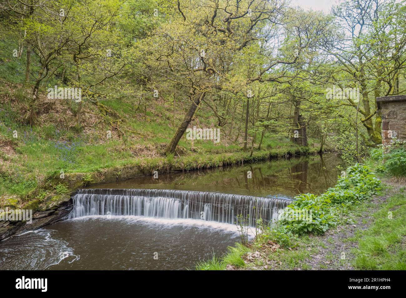 Il Jumbles Country Park è un parco rurale di Bolton, Greater Manchester. Si trova sul bordo meridionale del West Pennine Moors. E 'stato aperto il 11 Marc Foto Stock