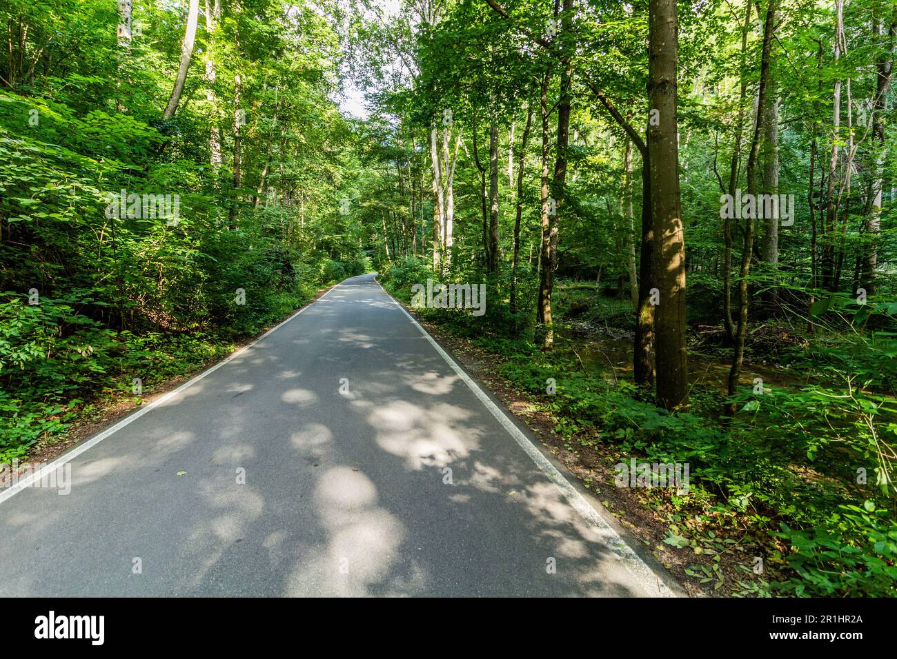 Strada nella valle di Pusty zleb nella regione del Carso Moravo, Repubblica Ceca Foto Stock