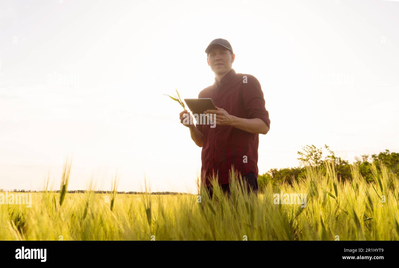 Contadino con tablet digitale su un campo di segale. Agricoltura intelligente e trasformazione digitale in agricoltura. Foto di alta qualità Foto Stock