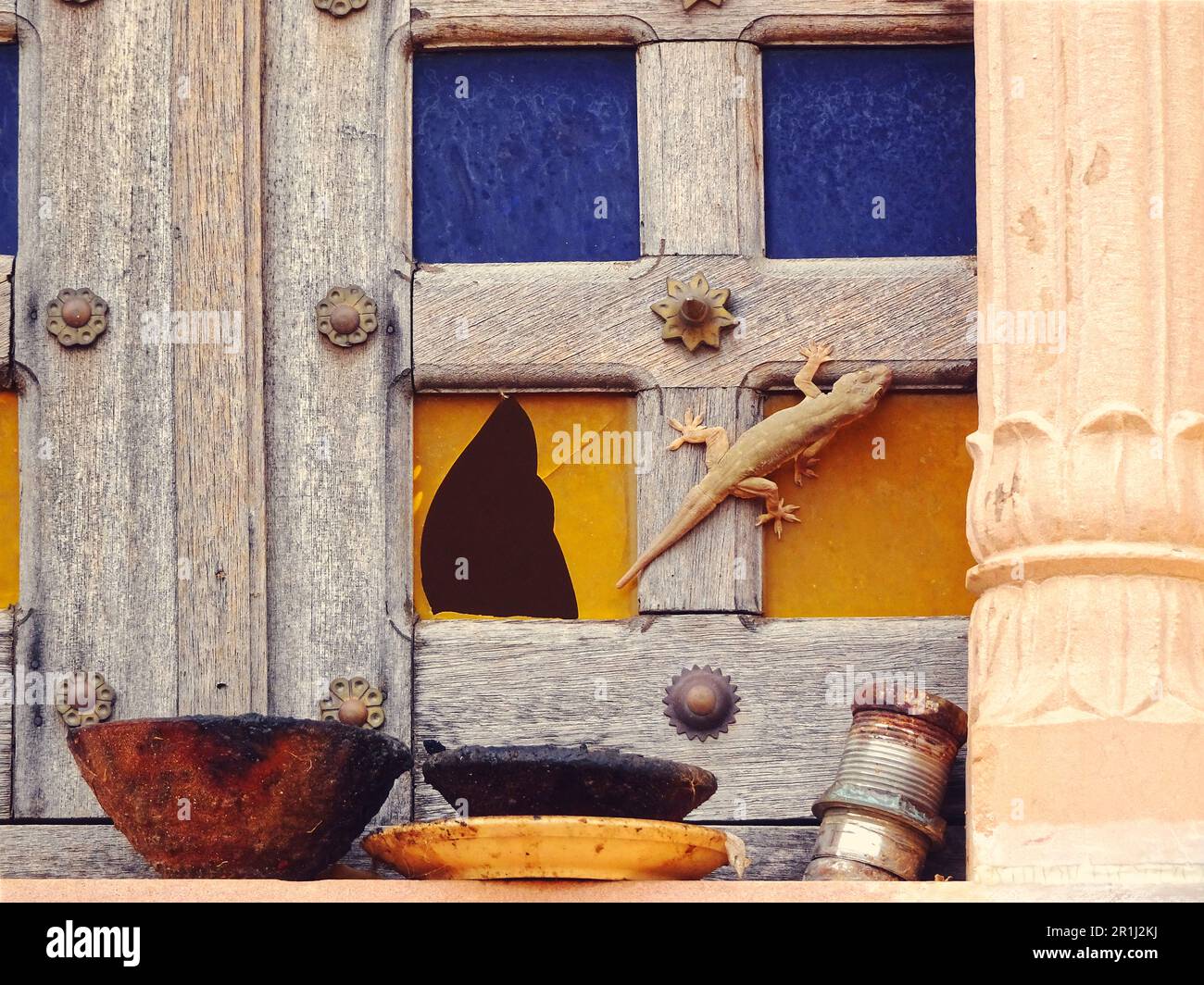 Primo piano di una lucertola che cammina su una finestra con vetri multicolore rotti Foto Stock