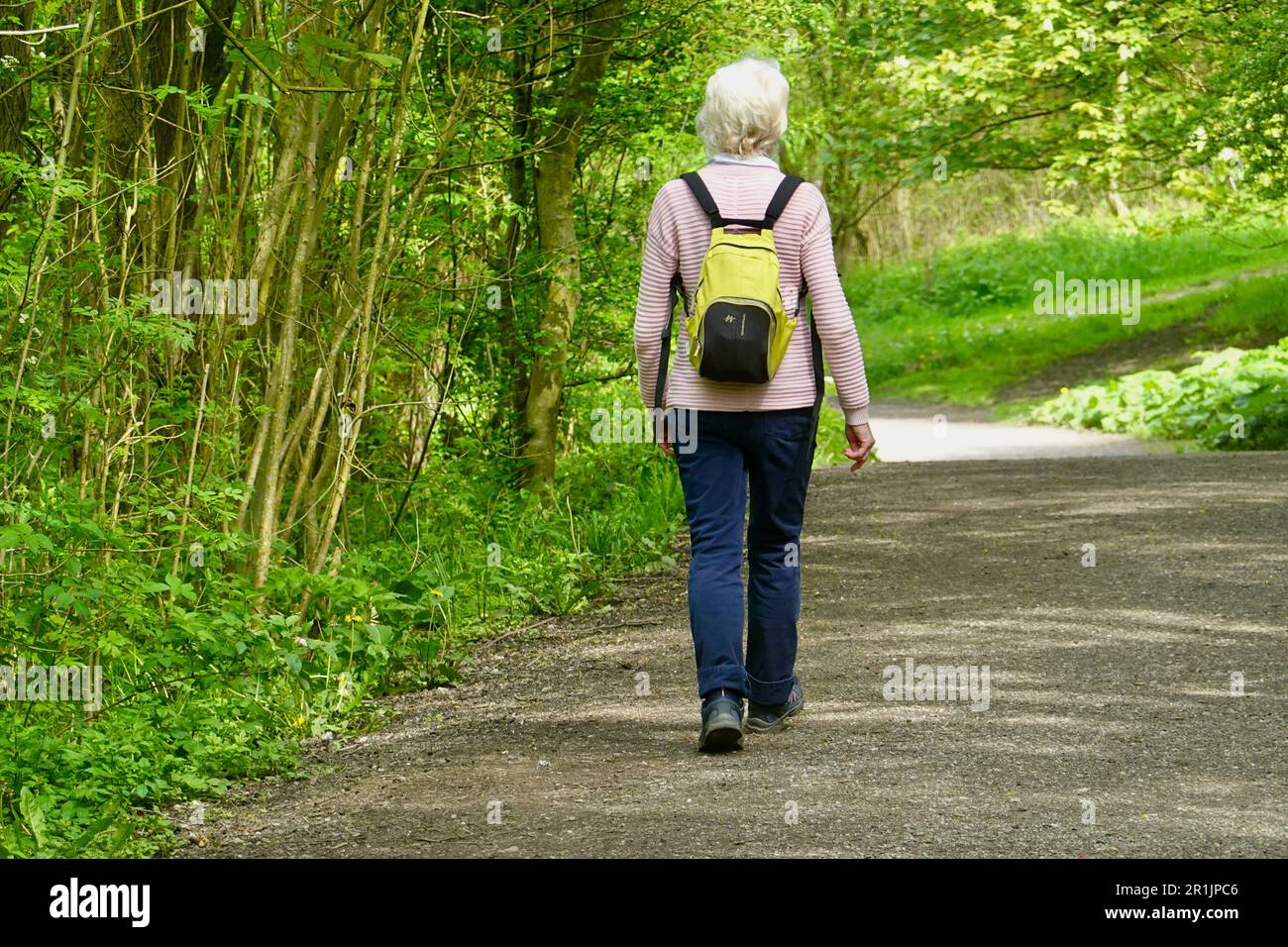 Una donna che cammina sul Sett Valley Trail, Derbyshire Foto Stock