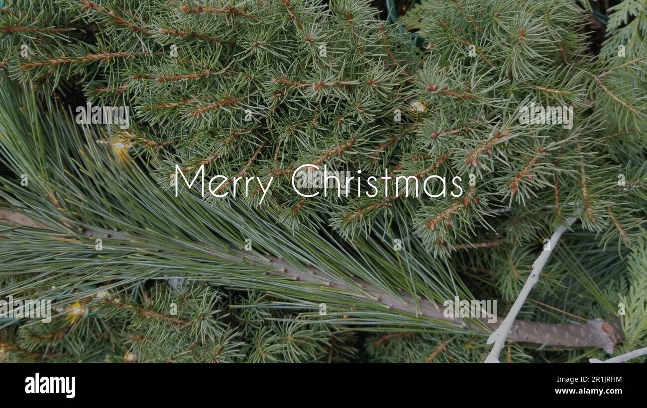 Buon Natale risorse grafiche biglietto di auguri sfondo albero di Natale Foto Stock