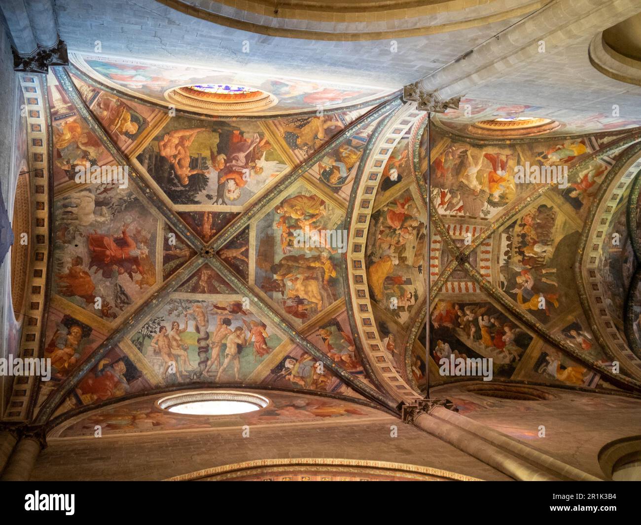Soffitto a volta inguinale coperto da scene bilbliche affreschi di Guillaume de Marcillat, Cattedrale di Arezzo Foto Stock