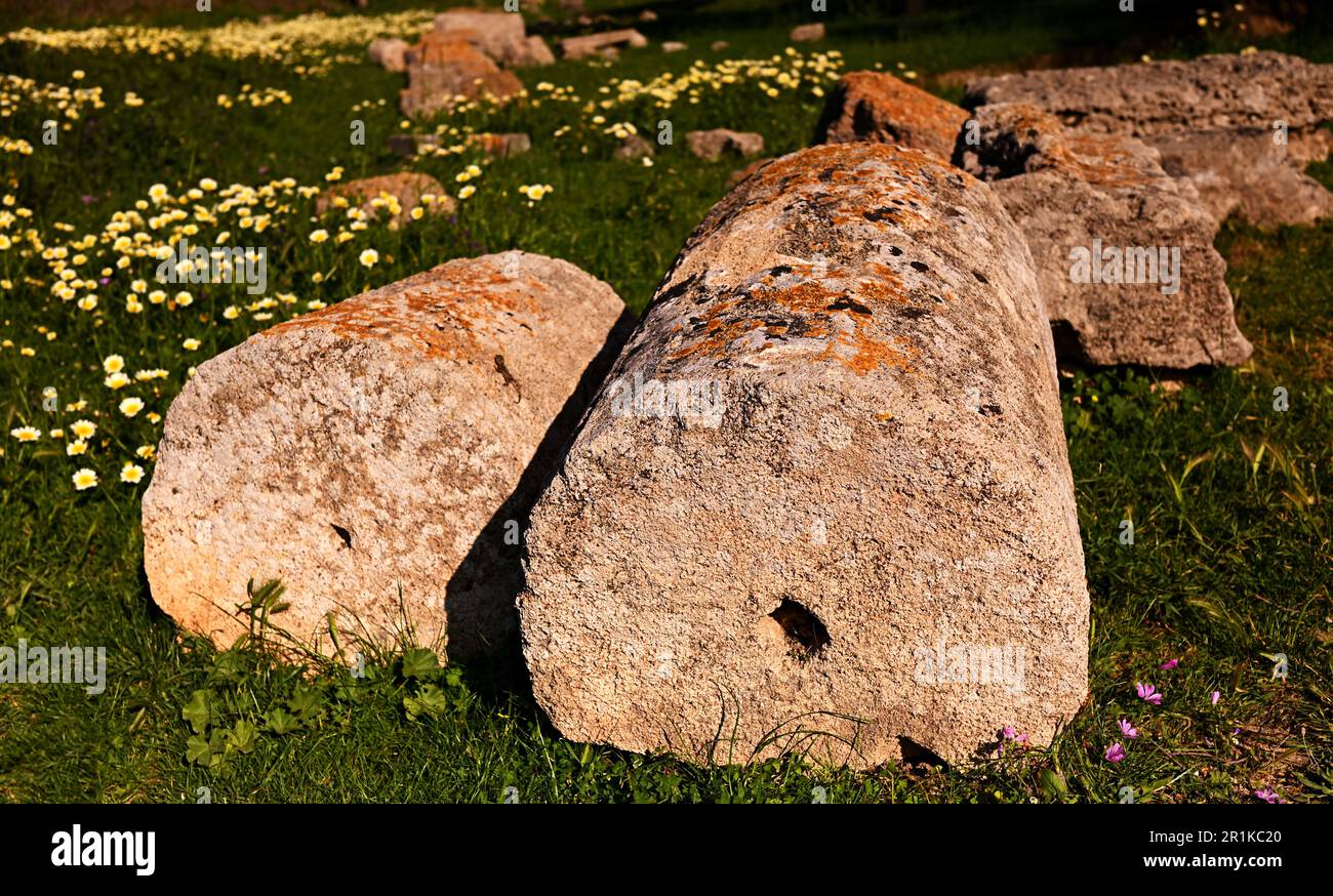 I resti delle colonne doriche dei templi greci sono sparsi sul prato verde del parco archeologico. Foto Stock