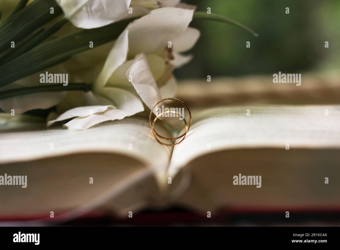 Gli anelli di nozze si trovano su una bibbia dispiegata. Il matrimonio di due persone amorevoli. Foto simbolica Foto Stock