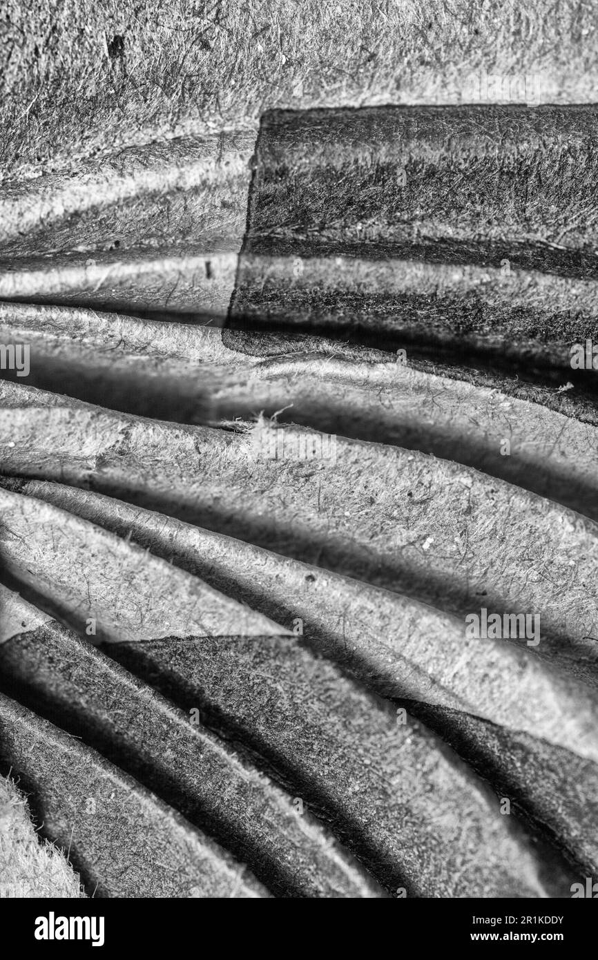 Estratto in bianco e nero di imballo di cartone umido e soddo che è stato sgualcito come una concertina. Per rifiuti industriali, imballaggi in carta. Foto Stock