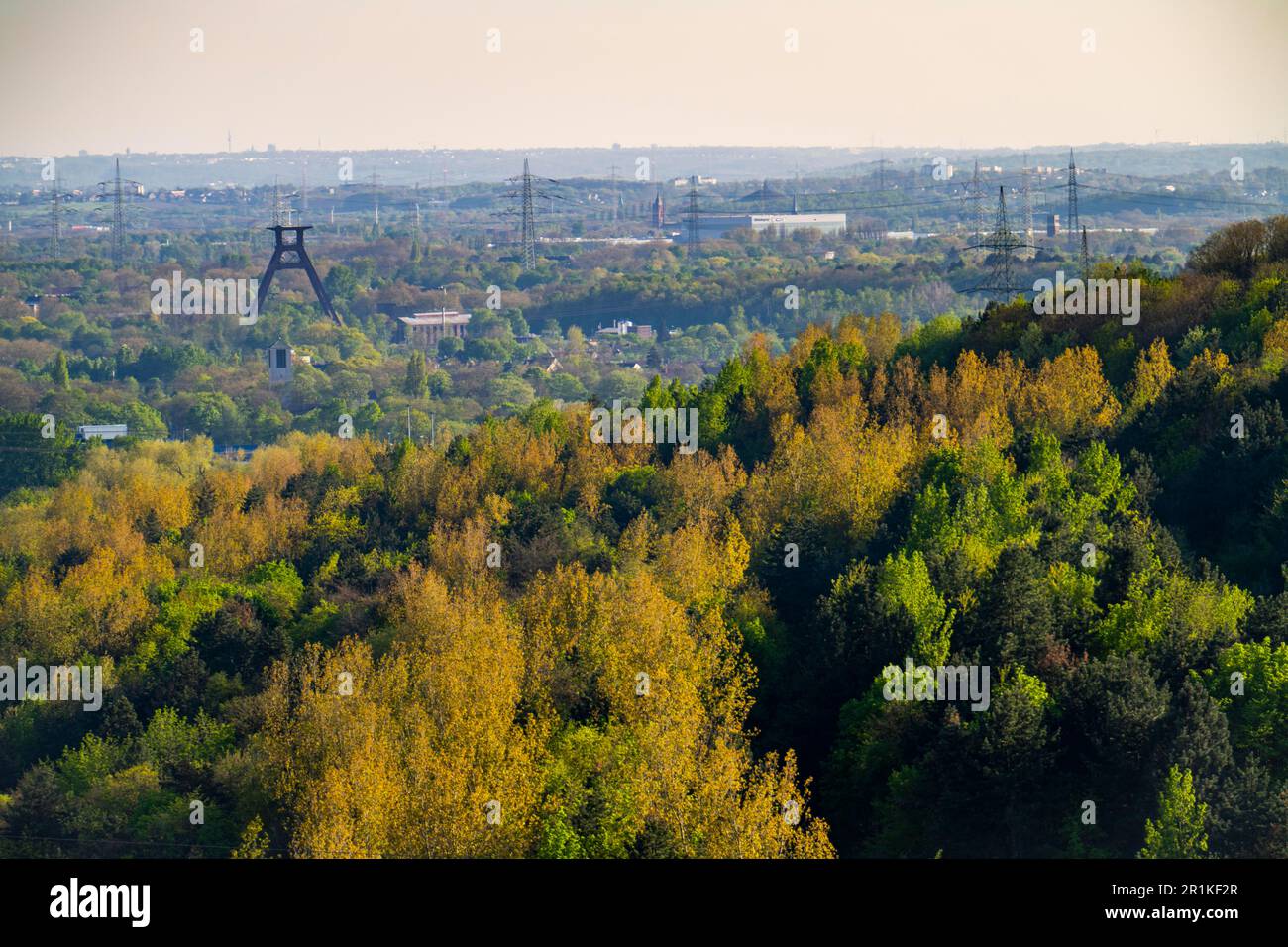 Vista dallo schiaffo Hoheward a sud verso Wanne-Eickel, aree boscose, torre tortuosa dell'ex colleria Pluto 2/3/7, NRW, Germania, Foto Stock