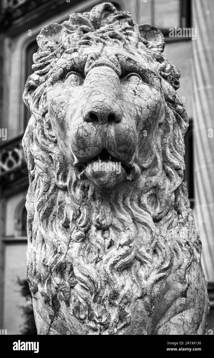 Una delle due statue di leoni si trova all'ingresso della Biltmore House ad Asheville, North Carolina, USA Foto Stock