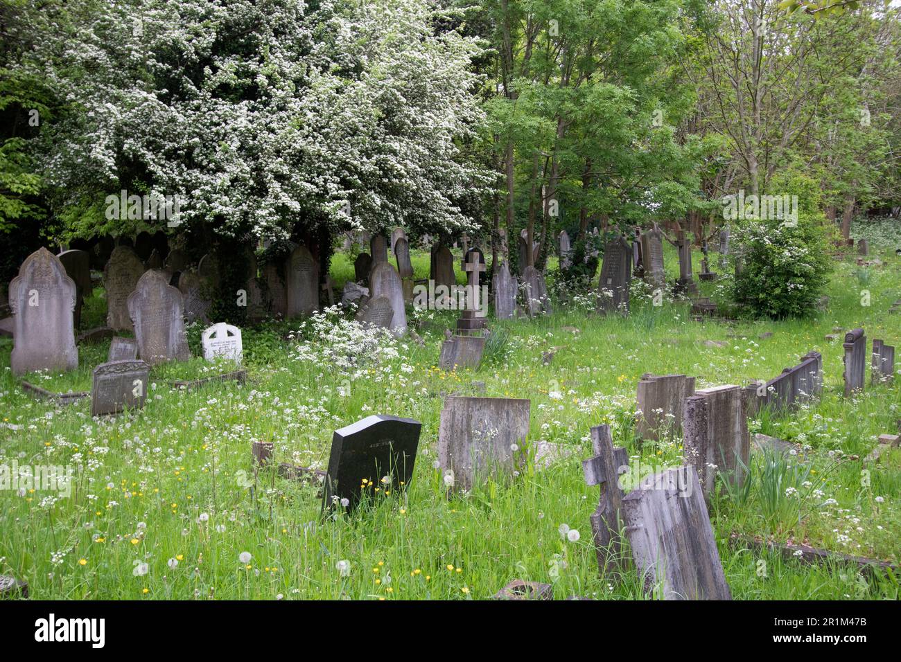 West Norwood Cemetery, uno dei "magnifici sette" cimiteri di Londra, Londra, Inghilterra, Regno Unito Foto Stock