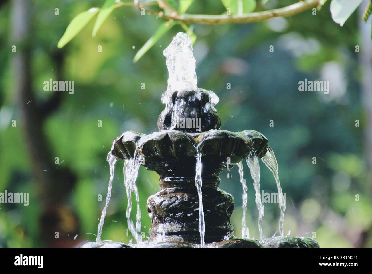 Caduta d'acqua sul giardino di pietra Foto Stock