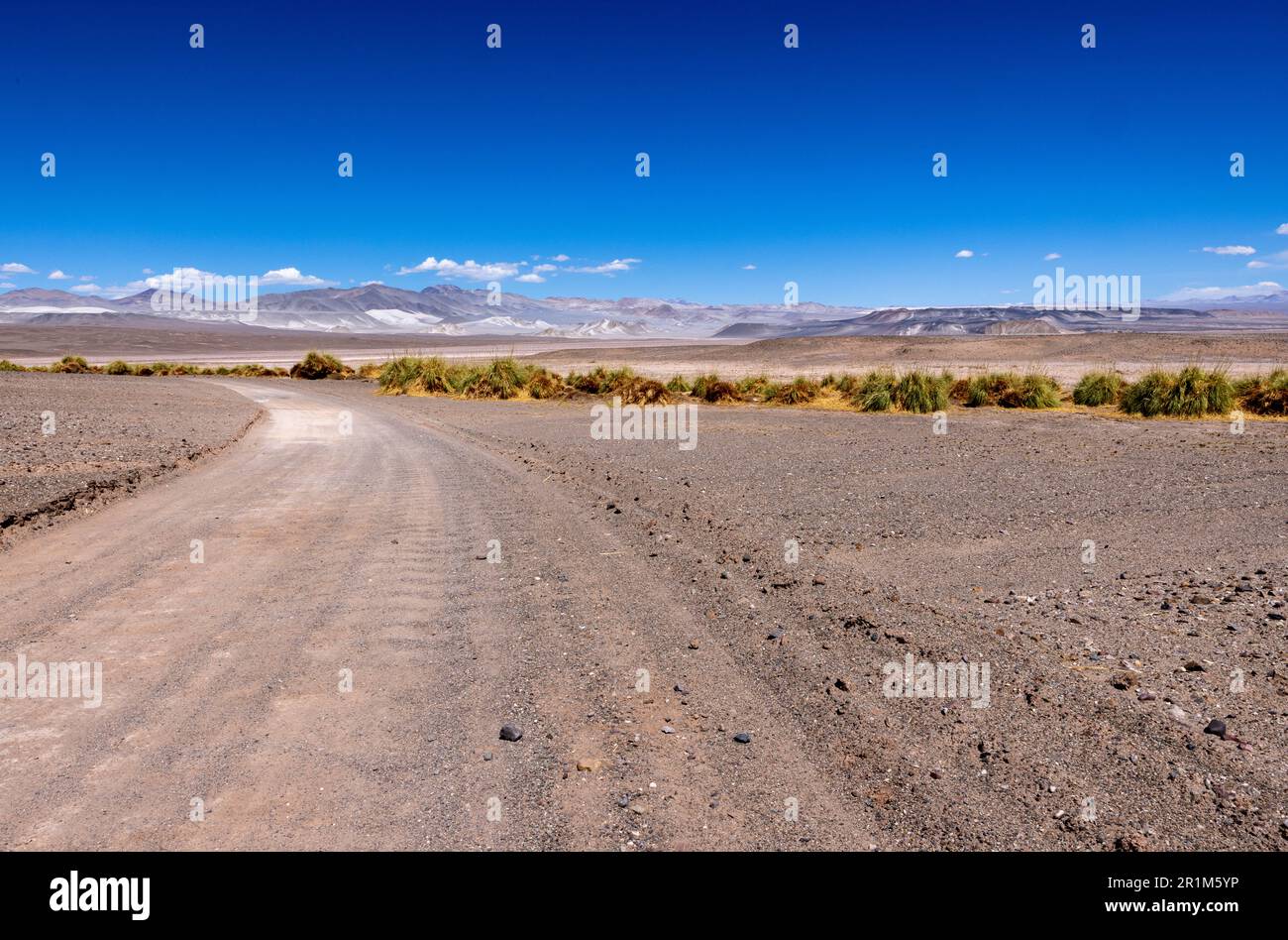 Puna - avventura fuoristrada attraverso un paesaggio bizzarro ma bellissimo con un campo di pomice, rocce vulcaniche e dune di sabbia nel nord dell'Argentina Foto Stock