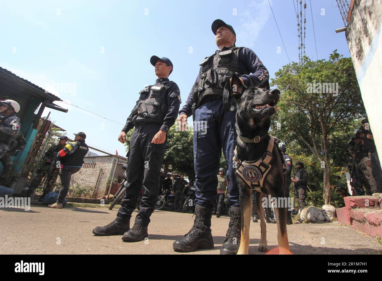 Il personale militare appartenente alle forze armate nazionali bolivariane (FANB) controlla la vicinanza della riva del fiume T·chira, confine naturale tra Venezuela e Colombia, durante le operazioni militari per la difesa e la protezione del valico di frontiera. Secondo fonti ufficiali si è verificato un dispiegamento di oltre 1.300 soldati e poliziotti appartenenti alle diverse componenti delle forze armate venezuelane, attraverso un'operazione il cui obiettivo principale è controllare le strade illegali note come 'Trochas' per attraversare il confine e, in questo modo, Ridurre la criminalità nella zona confinante con la Colombia. Foto Stock